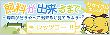 Web�ŃA���t�H�̍H�ꌩ�w���ł���@�������ł���܂�