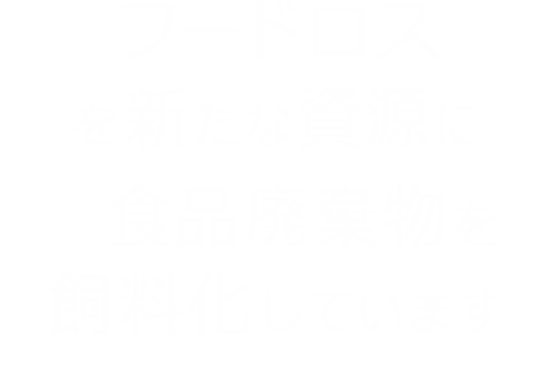 株式会社 アルフォ